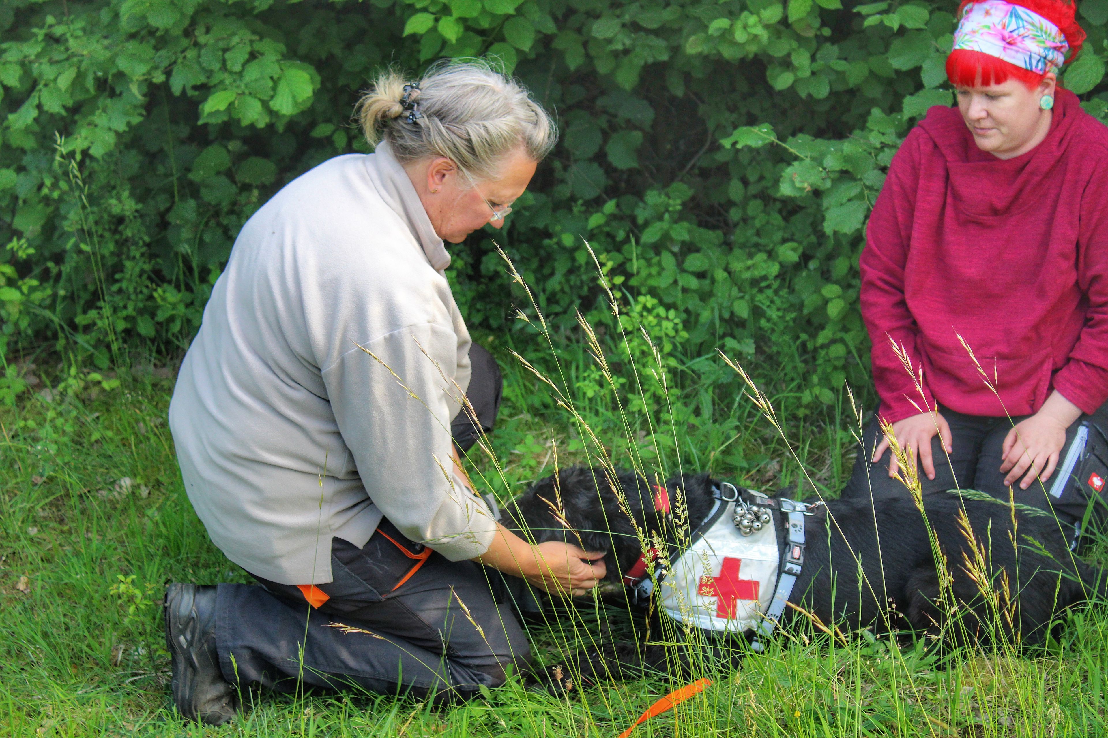 Sonntagstraining der Flächensucher und Mantrailer